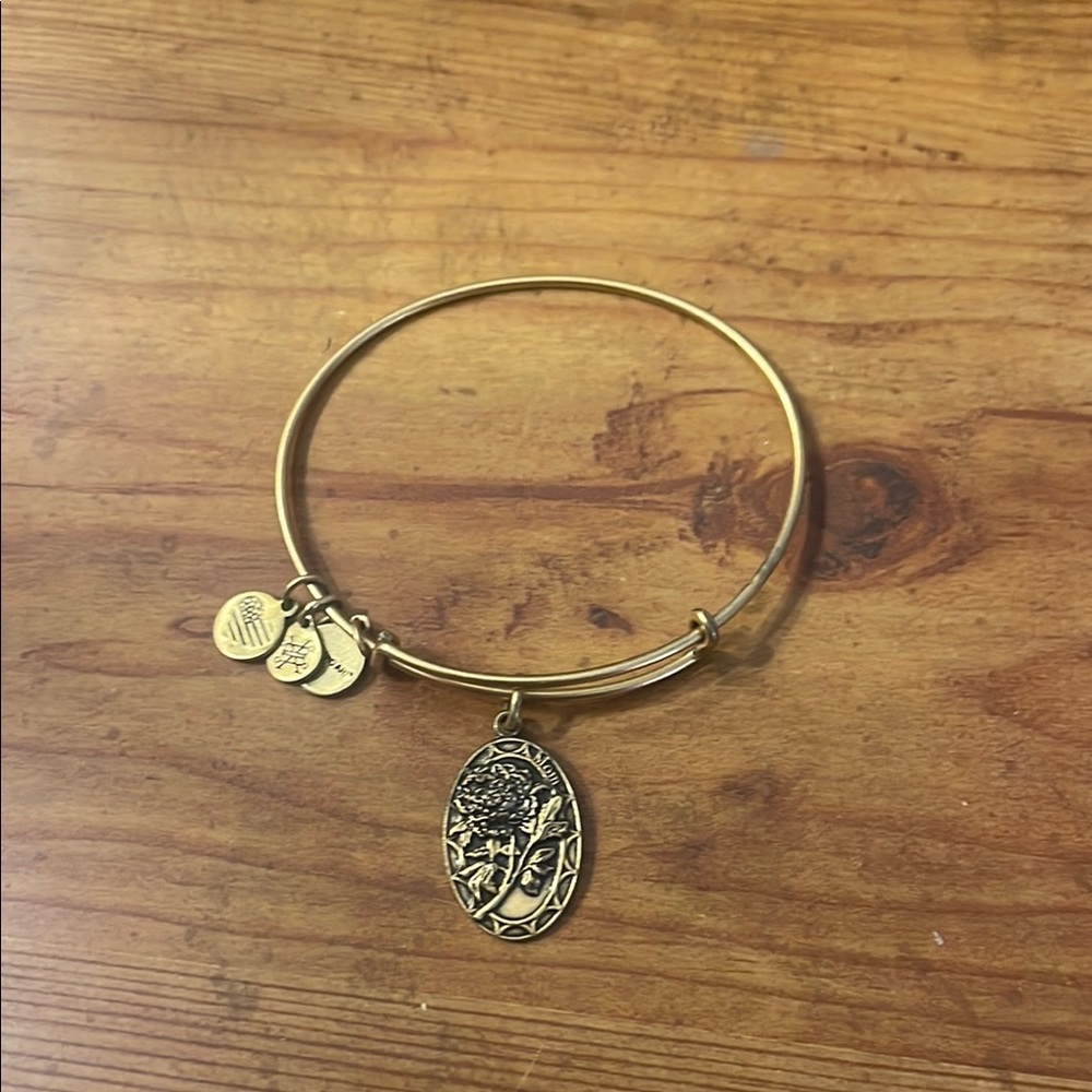 Alex and Ani Gold Charm Bangle Bracelet